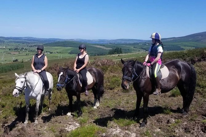 Wicklow Mountains Horse Trekking - Location and Setting