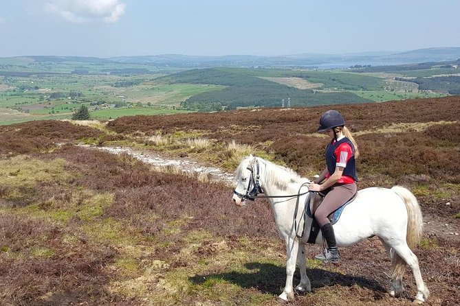 Wicklow Mountains Horse Trekking - Tour Highlights