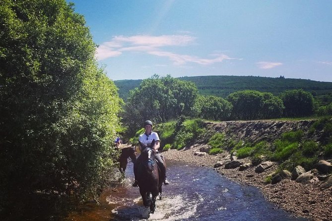 Wicklow Mountains Horse Trekking - Safety Considerations