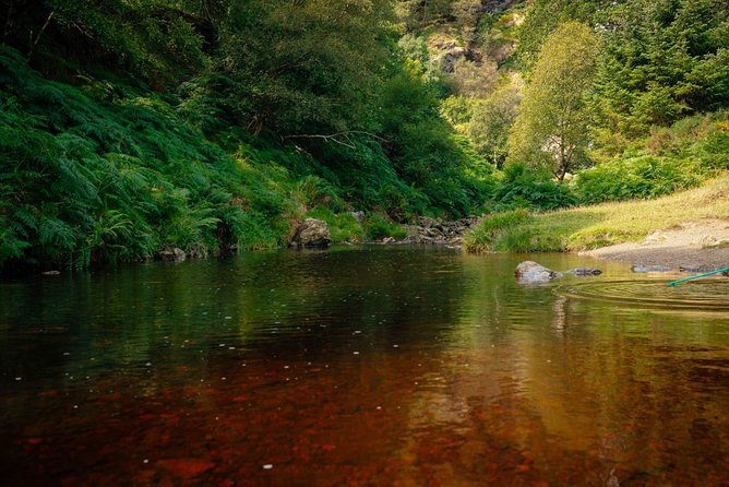 Wicklow Mountains Private Day Trip From Dublin - St. Kevins Parish Discovery