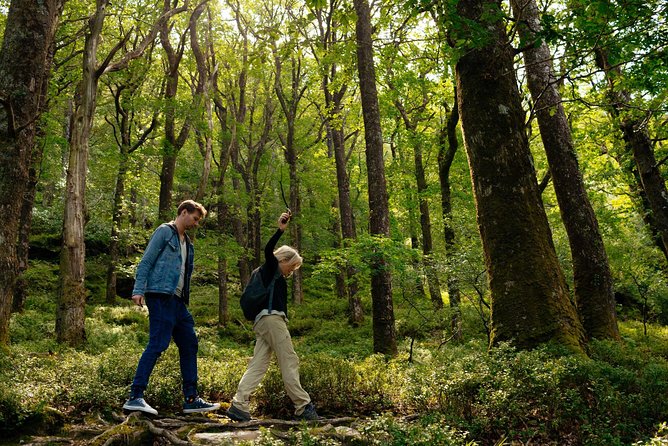 Wicklow Mountains Private Day Trip From Dublin - Local Guides Insights and Stories