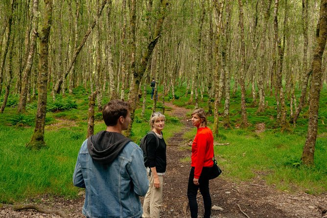 Wicklow Mountains Private Day Trip From Dublin - Booking Details and Logistics