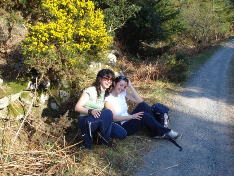 Wicklow: Private Day Tour From Dublin - Itinerary Highlights