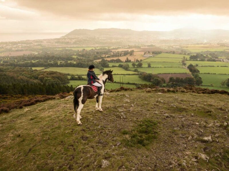 Wicklow: Private Day Tour From Dublin - Customer Feedback