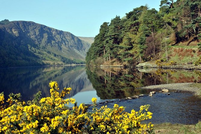 Wicklow Tour of Glendalough - Meeting and Departure Information