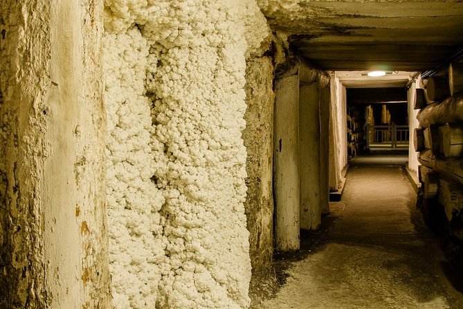 Wieliczka Salt Mine From Krakow, Guided Half-Day Tour With Private Transport - Private Round-trip Transport