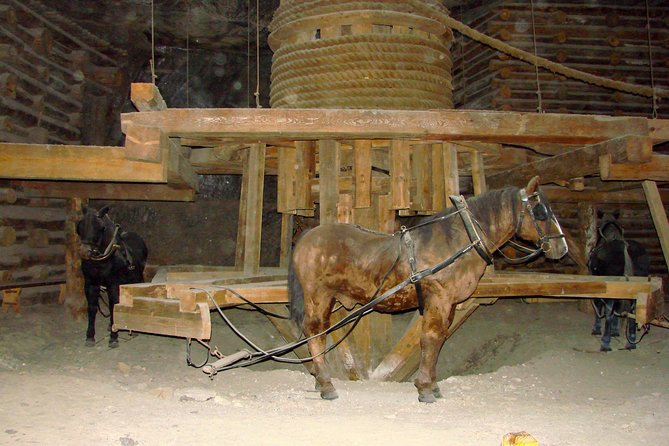 Wieliczka Salt Mine Guided Tour From Krakow With Private Transfers - Accessibility and Requirements