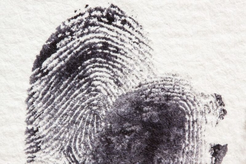 Wiesbaden Center: Crime Mystery Tour - Booking Information