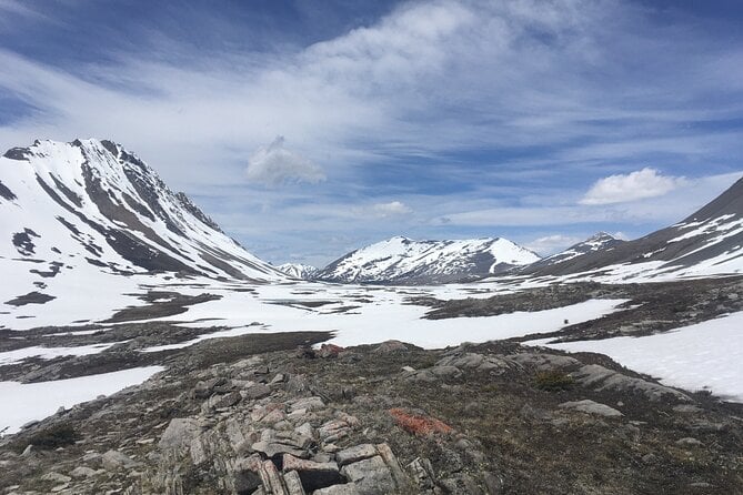 Wilcox Pass - Park Fees and Accessibility