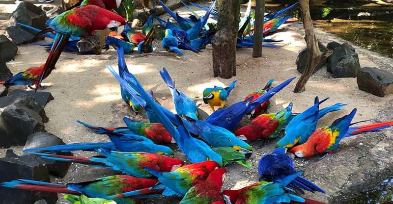 Wild Adventure: Explore the Enchanting Bird Park! - Key Points