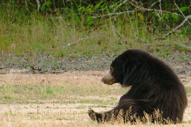 Wild Adventures Safari in Wilpattu - Safari Features and Details