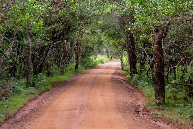Wild Adventures Safari in Wilpattu - What to Expect During the Safari
