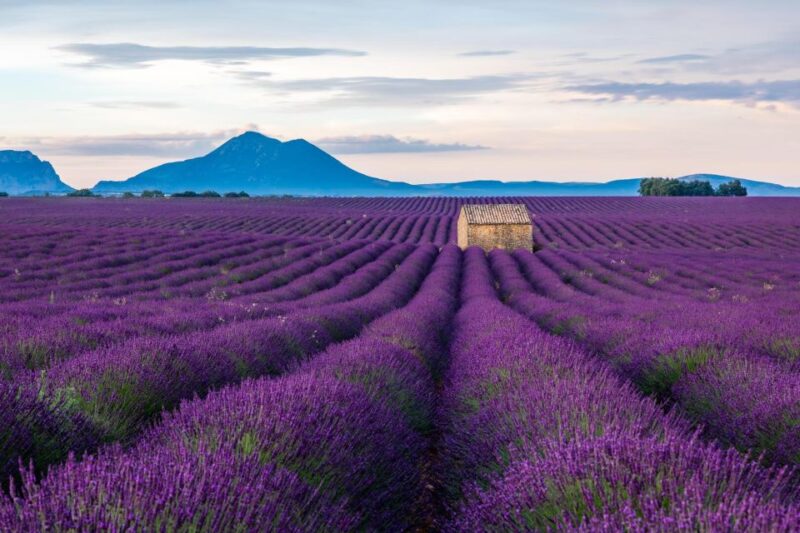 Wild Alps, Verdon Canyon, Moustiers Village, Lavender Fields - Panoramic Alpine Drive