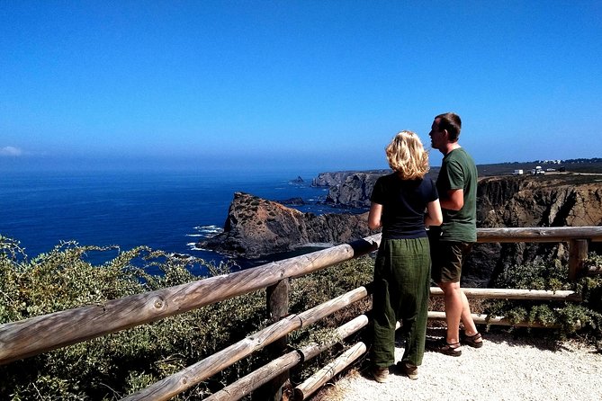 Wild and Wonderful West Coast Full Day Tour - Pickup at Accommodations