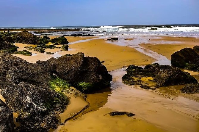 Wild and Wonderful West Coast Full Day Tour - Start Time