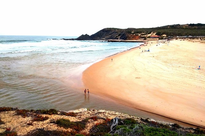 Wild and Wonderful West Coast Full Day Tour - Additional Information