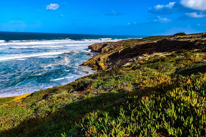 Wild and Wonderful West Coast Full Day Tour - Tour Reviews