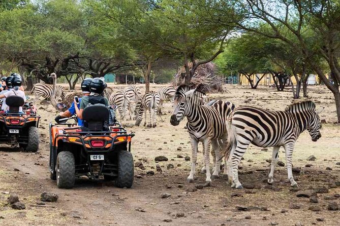 Wild Animals South West Tour : SAFARI JEEP CASELA PARK & LE MORNE - Booking Information