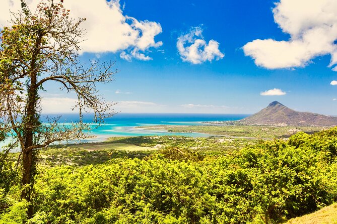 Wild Animals South West Tour : SAFARI JEEP CASELA PARK & LE MORNE - Customer Feedback