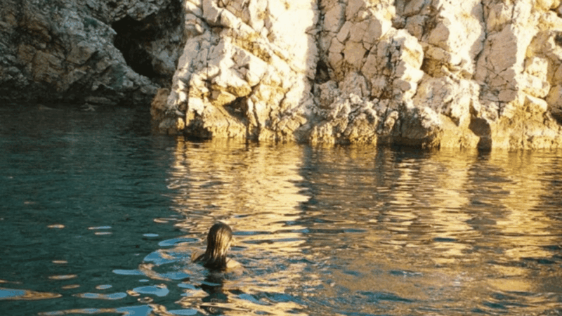 Wild Bays and Plavnik Island: a Whole Day Private Boat Tour - Tour Overview