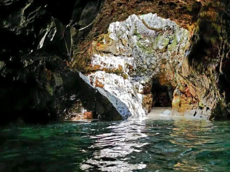 Wild Bays and Plavnik Island: a Whole Day Private Boat Tour - Northern Rab Island & Wild Bays