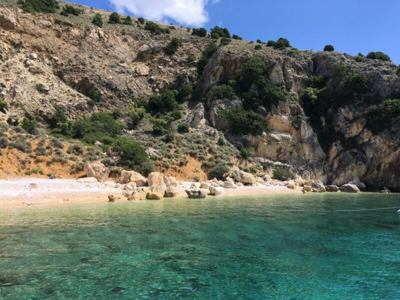 Wild Bays: Swimming and Snorkeling With Capt. Bobo (Private) - Reservations and Flexibility