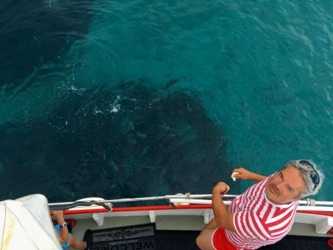 Wild Bays: Swimming and Snorkeling With Capt. Bobo (Private) - Weather Considerations