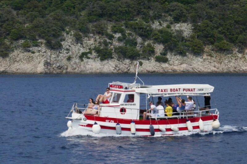 Wild Bays: Swimming and Snorkeling With Captain Bobo (3,5h) - Swimming and Snorkeling