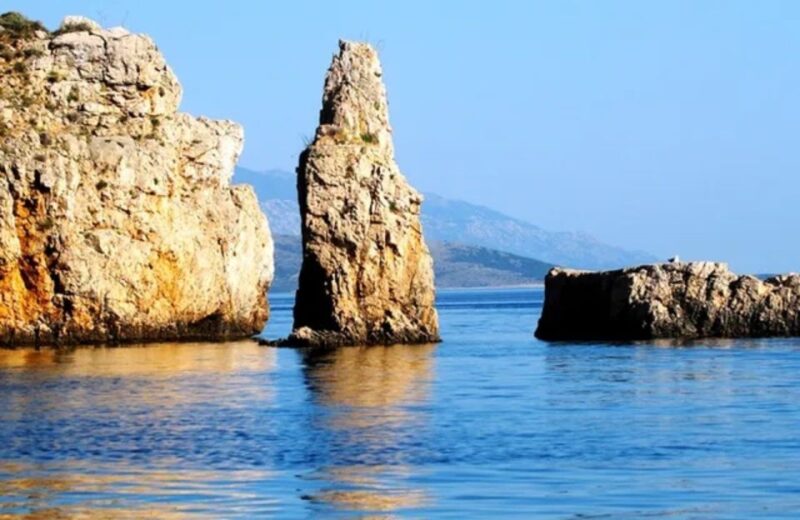 Wild Bays: Swimming and Snorkeling With Captain Bobo (3,5h) - Tour Highlights