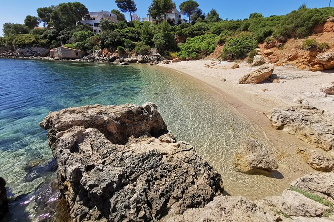 Wild Beaches & Snorkeling Tour - Inclusions