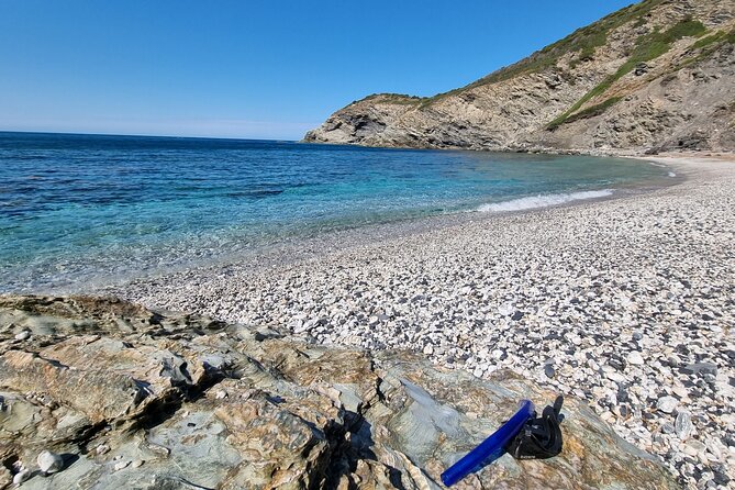 Wild Beaches & Snorkeling Tour - Pricing
