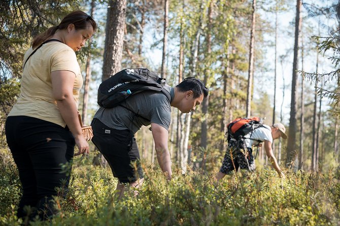 Wild Berries and Mushroom Picking Tour - Booking and Logistics
