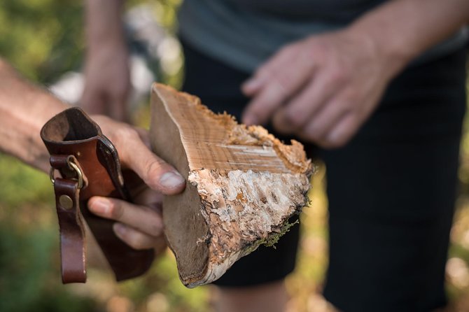 Wild Berries and Mushroom Picking Tour - Guide Expertise