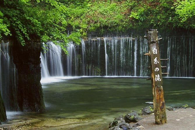 Wild Bird Sanctuary Forest Guided Tour in Nagano - Tour Capacity and Accessibility