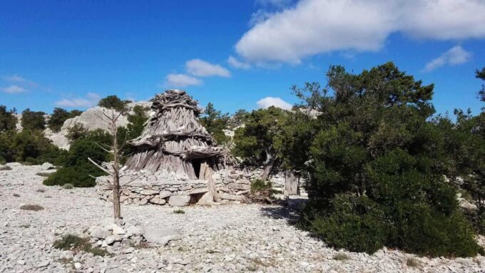 Wild Blue: 5-Days Trekking on the Original Trail - Booking and Cancellation Policies