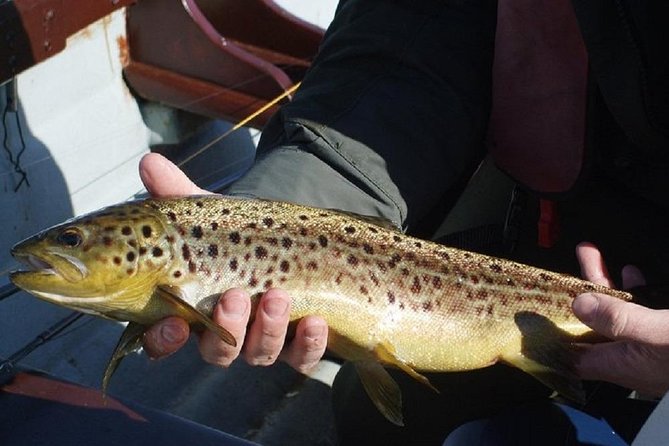Wild Brown Trout Fishing. Lough Corrib. French Speaking Ghillie/Guide. Full Day. - Participant Information