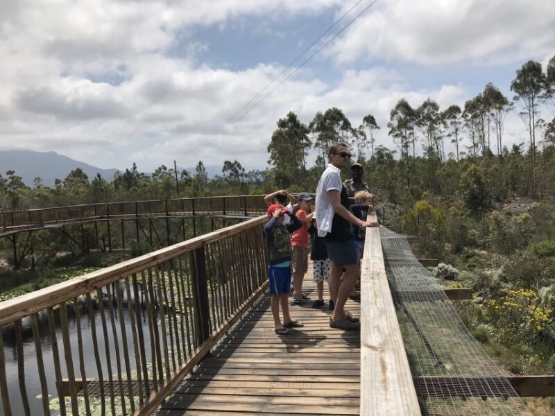 Wild Cat Experience 1-Hour Tour - Wildlife Sightings