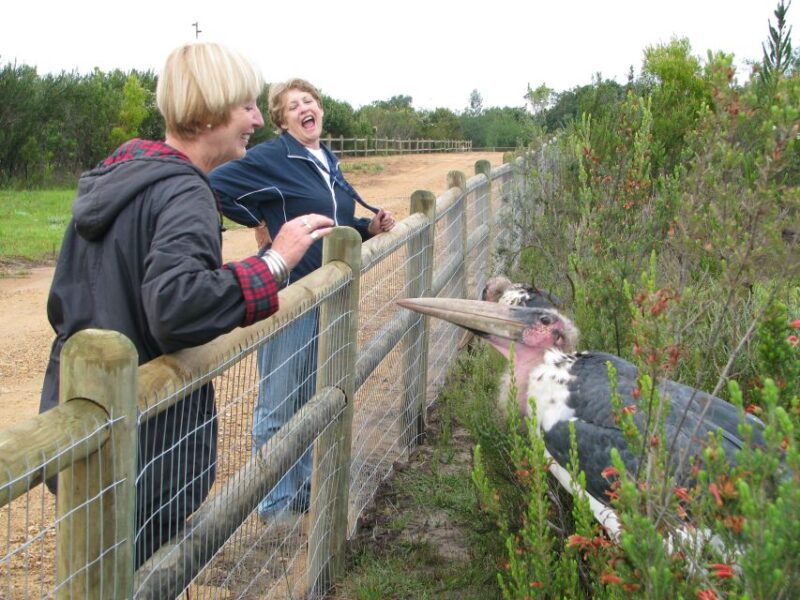 Wild Cat Experience 1-Hour Tour - Inclusions and Exclusions