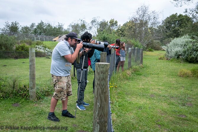 Wild Cat Experience Tour - Exploring Wild Cat Habitats