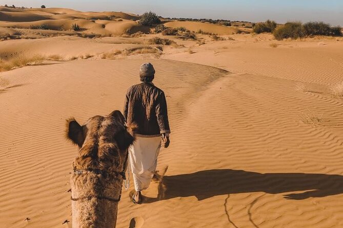 Wild Desert Overnight Safari - Meeting and Pickup Arrangements
