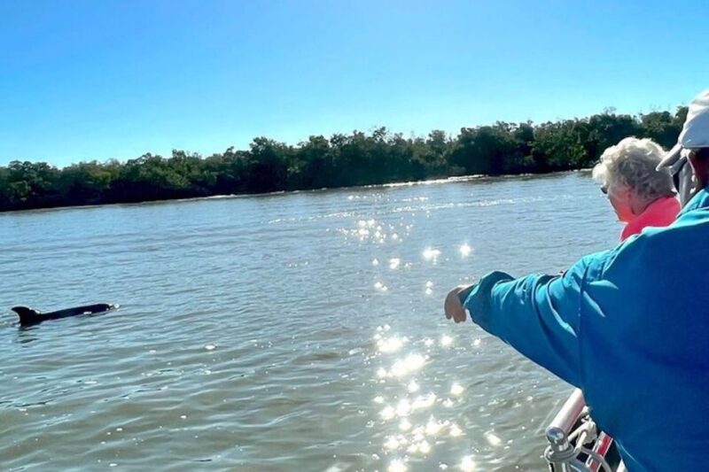 Wild Dolphin Boat Tour - Booking and Cancellation Policy
