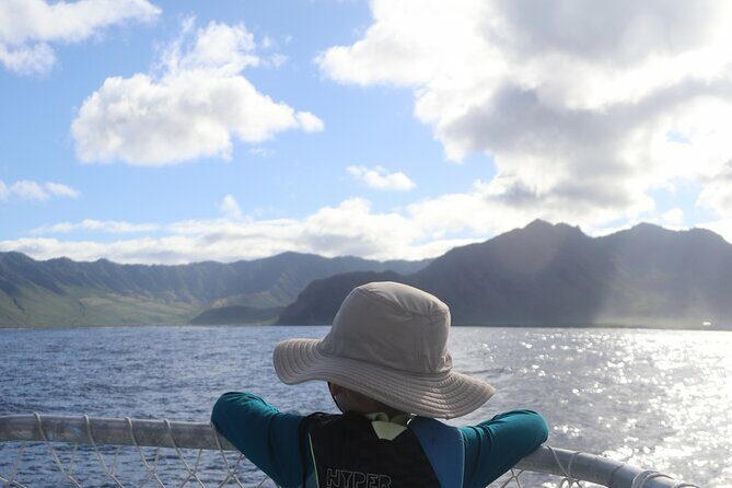 Wild Dolphin Swim, Turtle, Whale Safari with Guided Snorkeling - Authentic Insights from Reviews