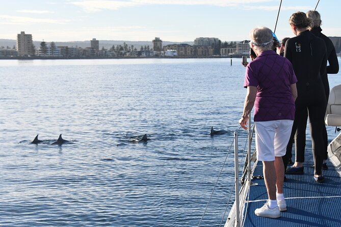 Wild Dolphin Watch Cruise - Cruise Details and Highlights