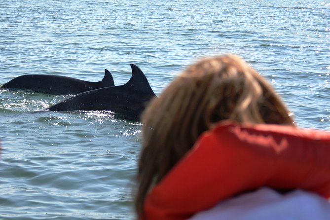 Wild Dolphins Encounter & Snorkeling - Tour Group Size and Accessibility