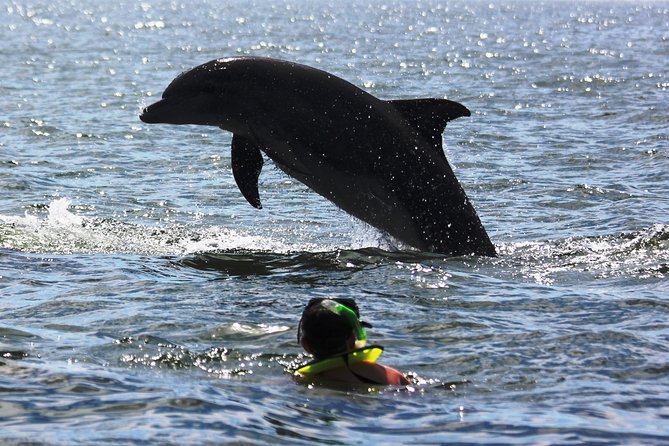 Wild Dolphins Encounter & Snorkeling - Cancellation Policy