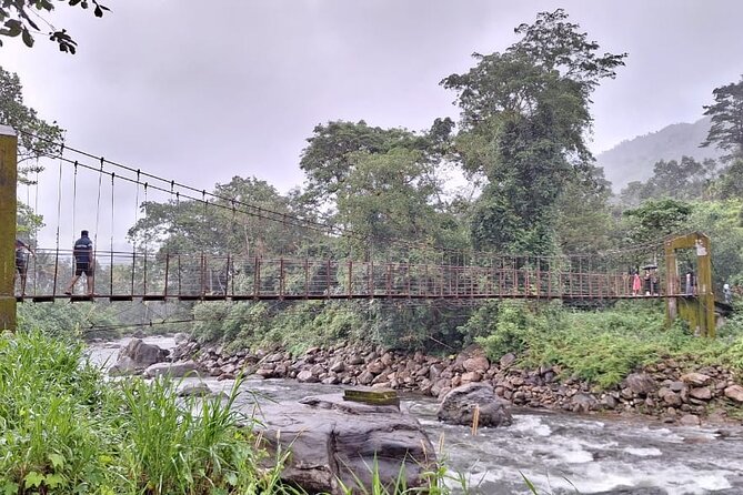Wild Elephant Anakulam & Waterfalls Tour(Munnar Valley Trekking) - Inclusions
