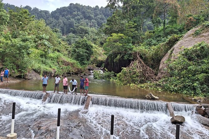 Wild Elephant Anakulam & Waterfalls Tour(Munnar Valley Trekking) - Accessibility and Recommendations