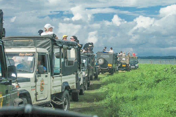 Wild Elephant Safari in Minneriya National Park - Terrain and Sightings