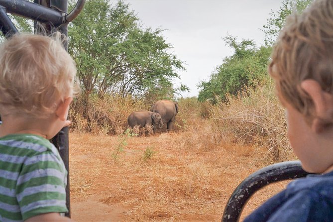 Wild Elephant Safari in Minneriya National Park - Safari Type and Capacity