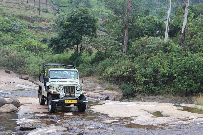 Wild Elephant Village( Anakulam) Life Tour ( by Munnar Info) - Inclusions in the Tour Package